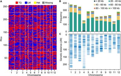 Univariate and Multivariate QTL Analyses Reveal Covariance Among Mineral Elements in the Rice Ionome